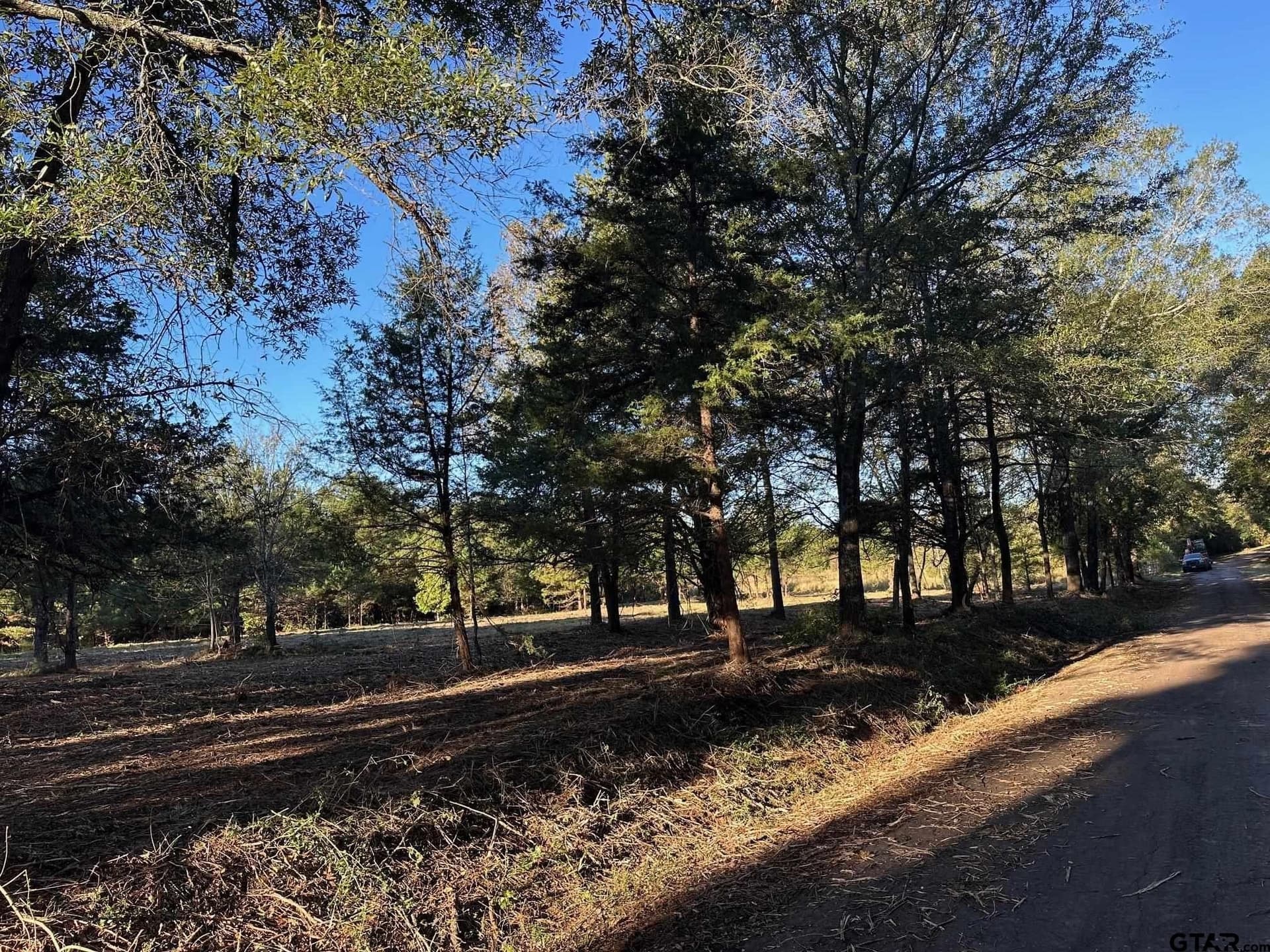 10.8 acres in Panola County gallery image 2