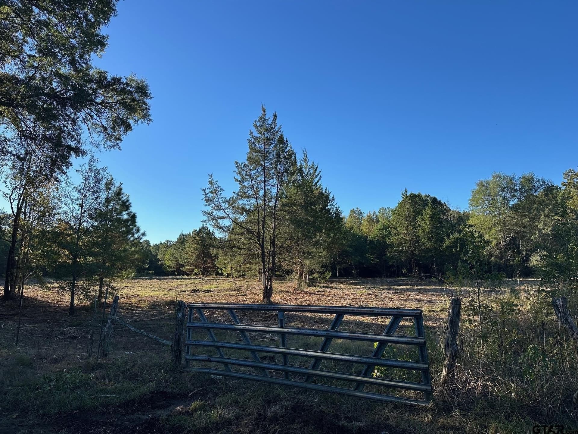 10.8 acres in Panola County gallery image 4