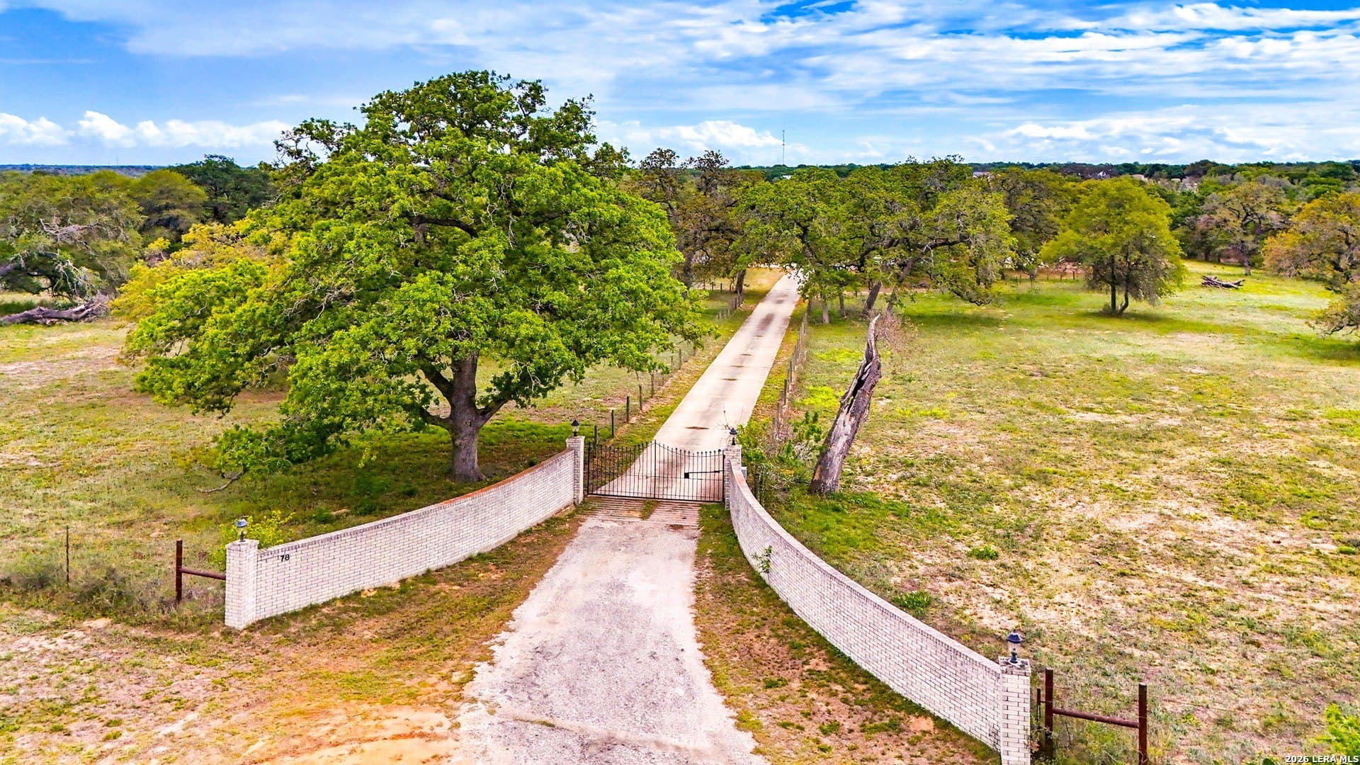 20 acres in Wilson County gallery image 3