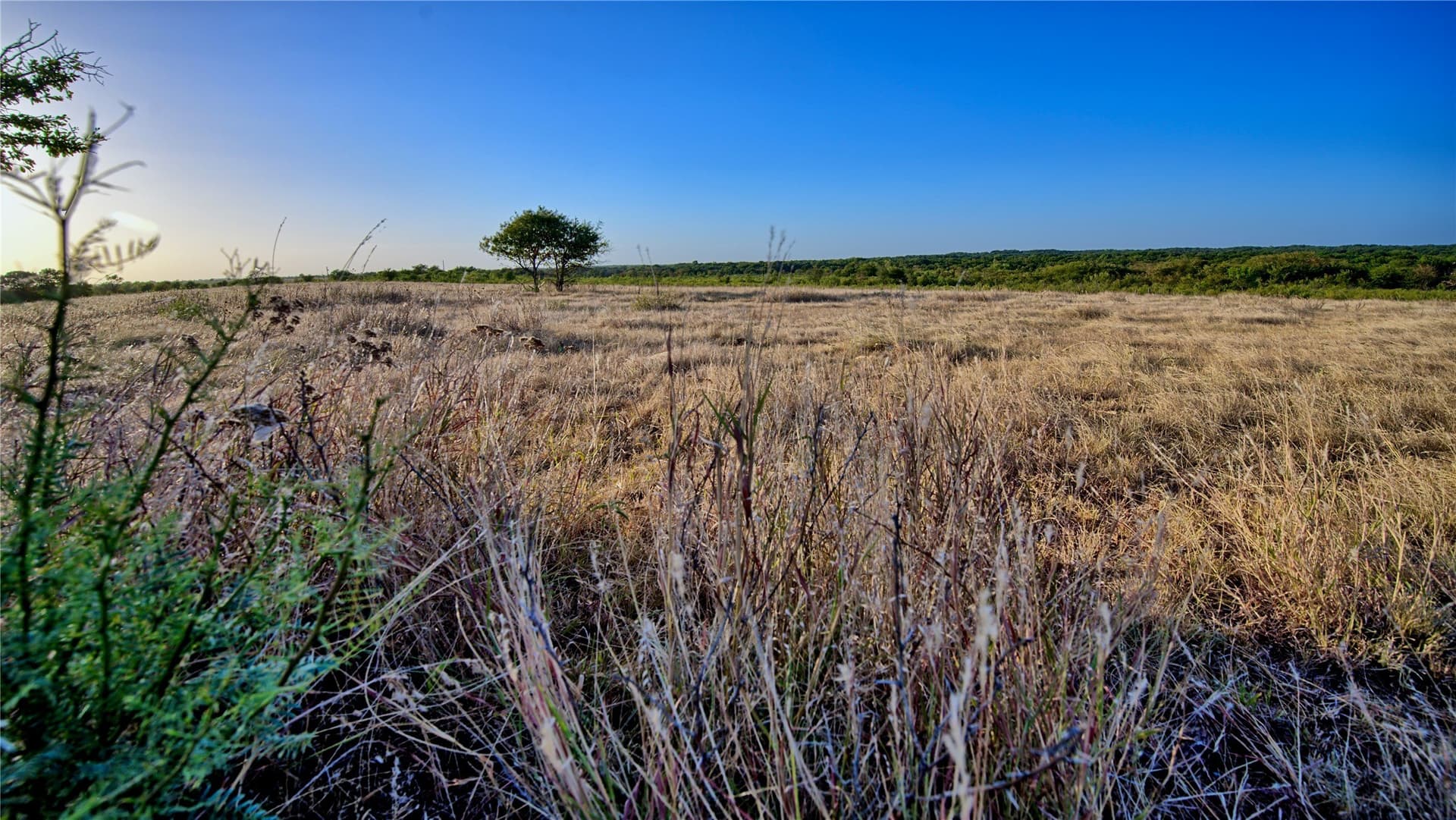 68.18 acres in Montague County - photo 21
