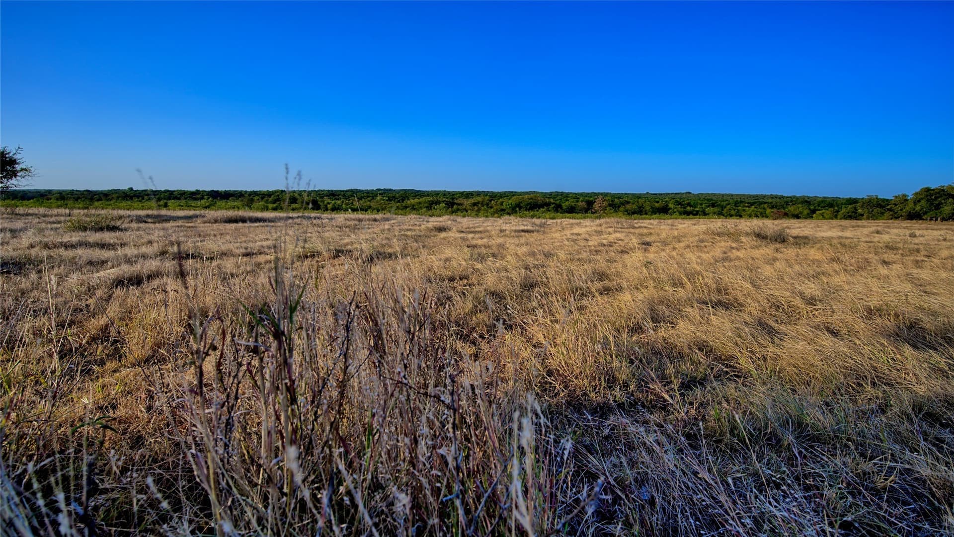 68.18 acres in Montague County - photo 10