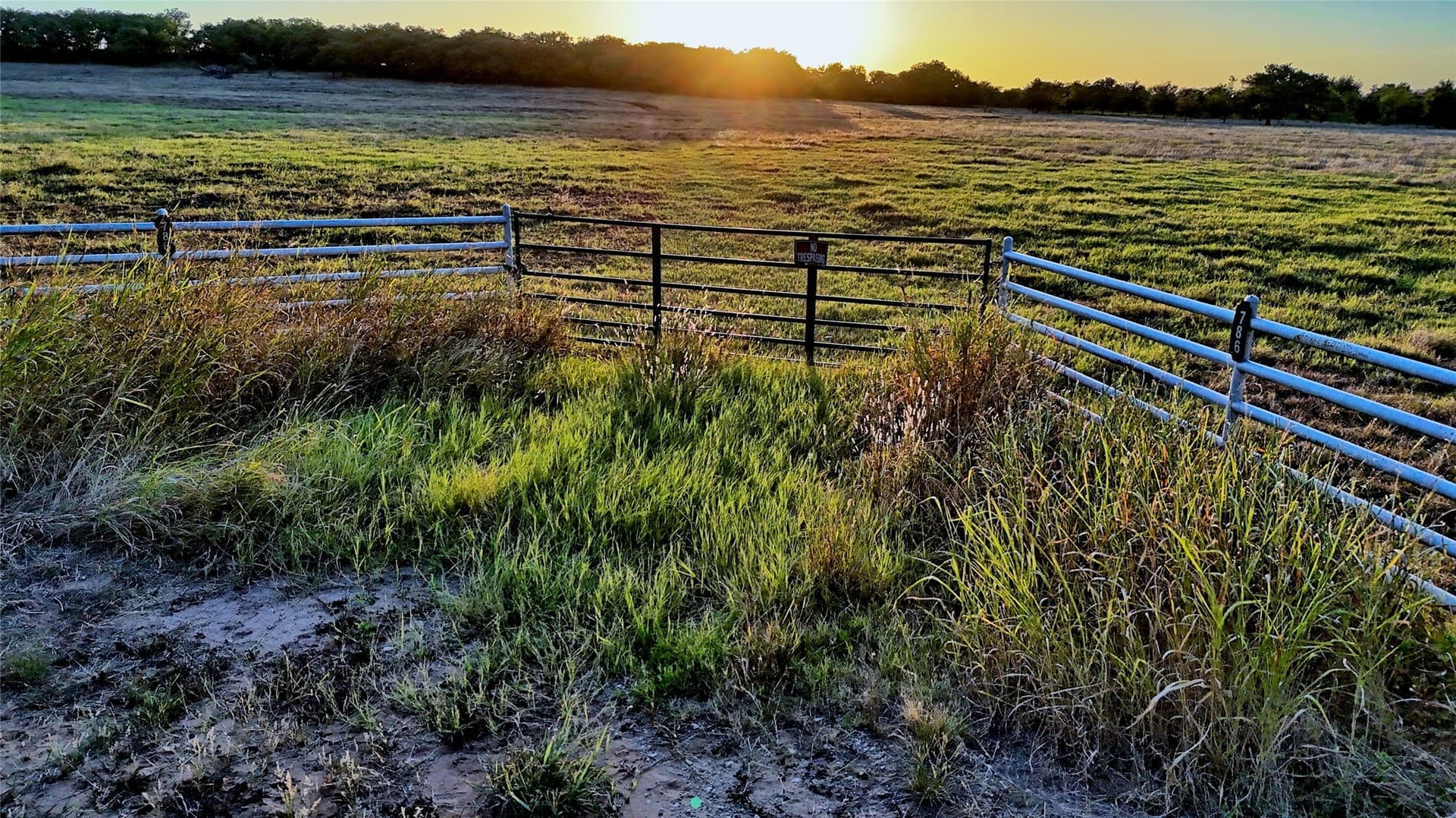 68.18 acres in Montague County - photo 7