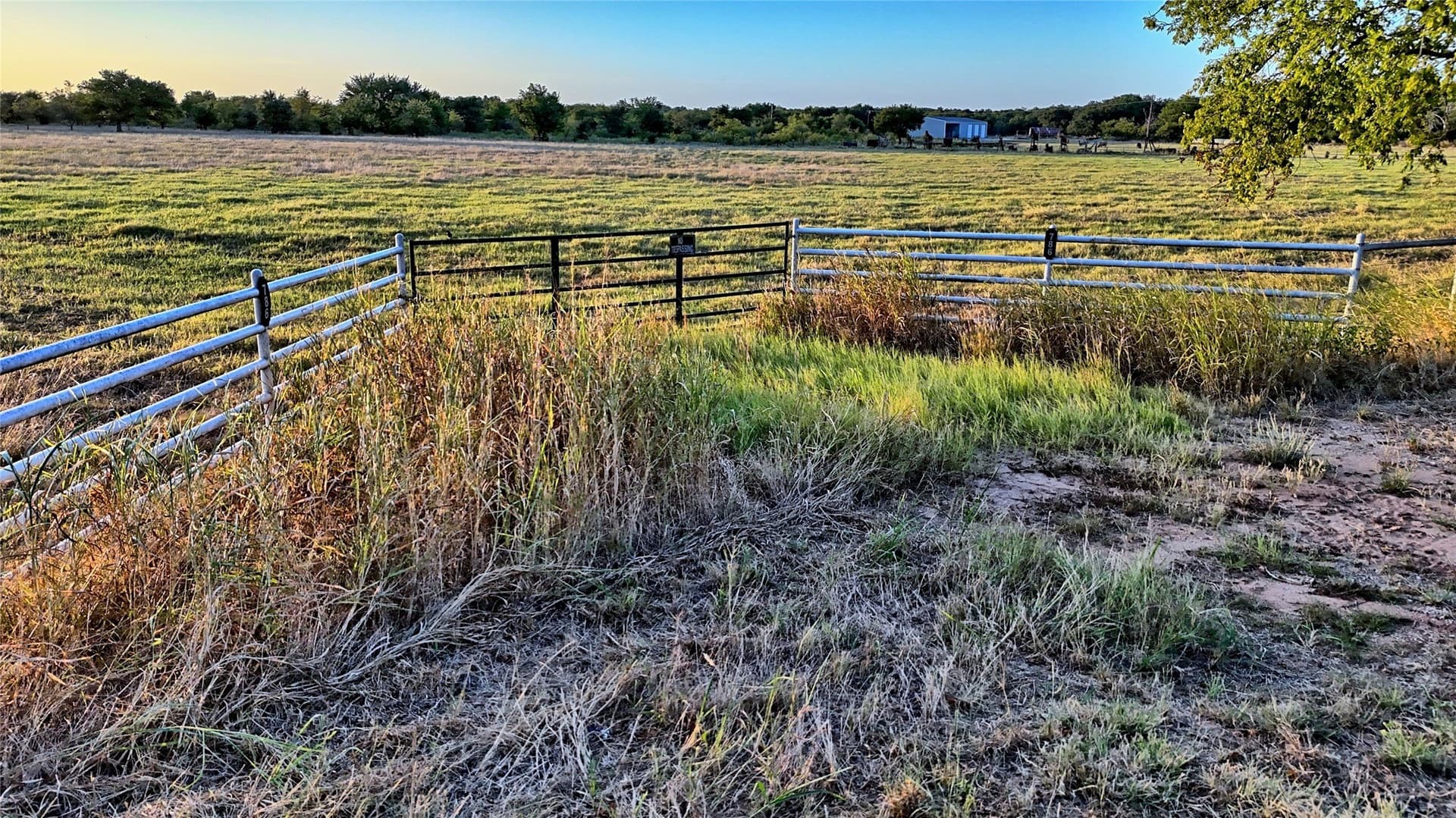 68.18 acres in Montague County - photo 27