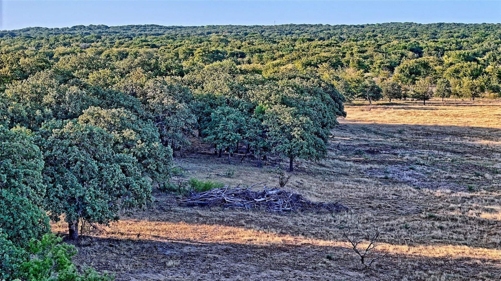 68.18 acres in Montague County - photo 2