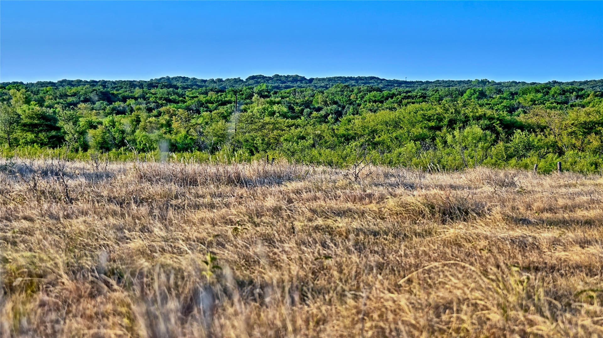 68.18 acres in Montague County - photo 15