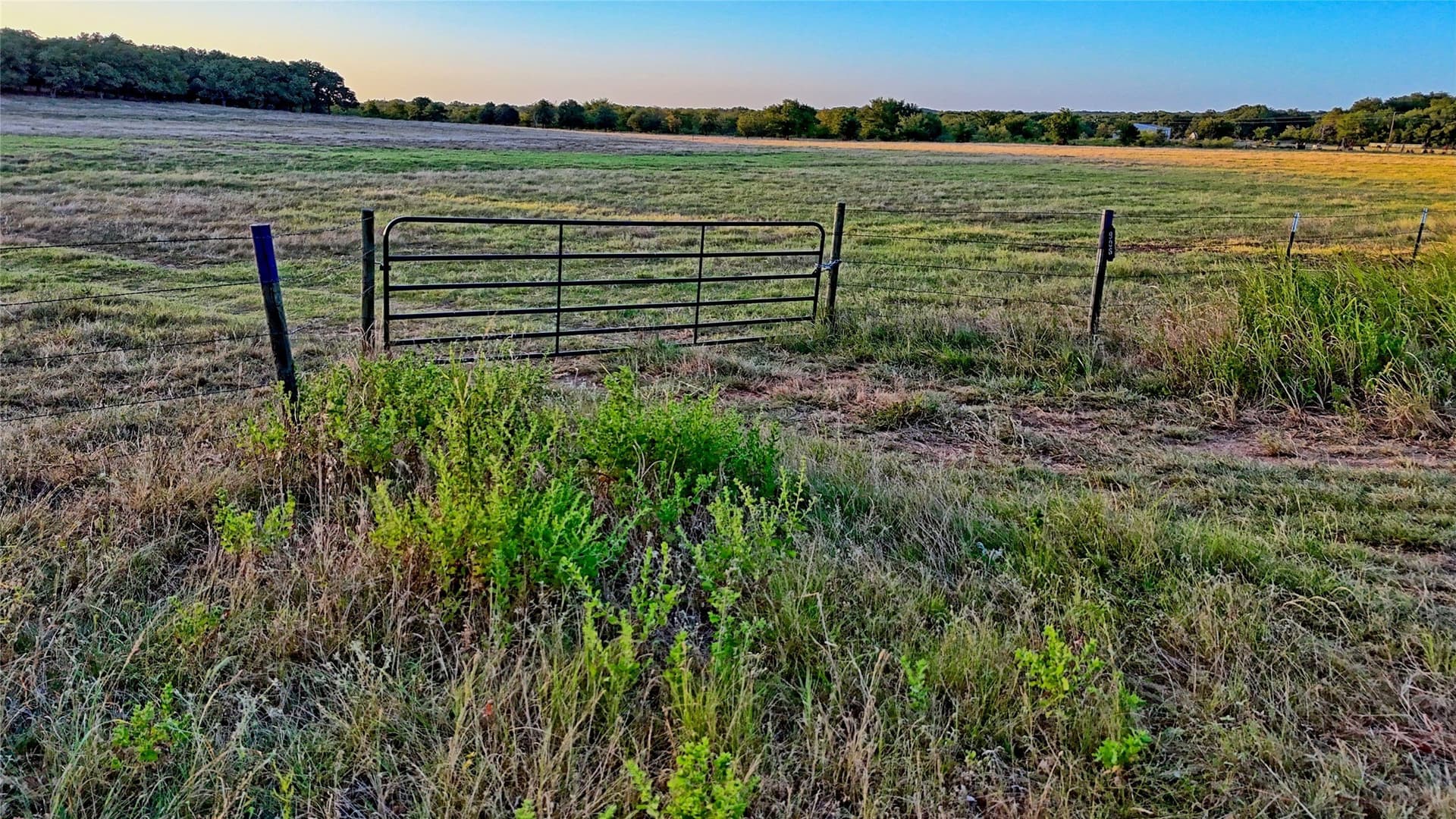 68.18 acres in Montague County - photo 5