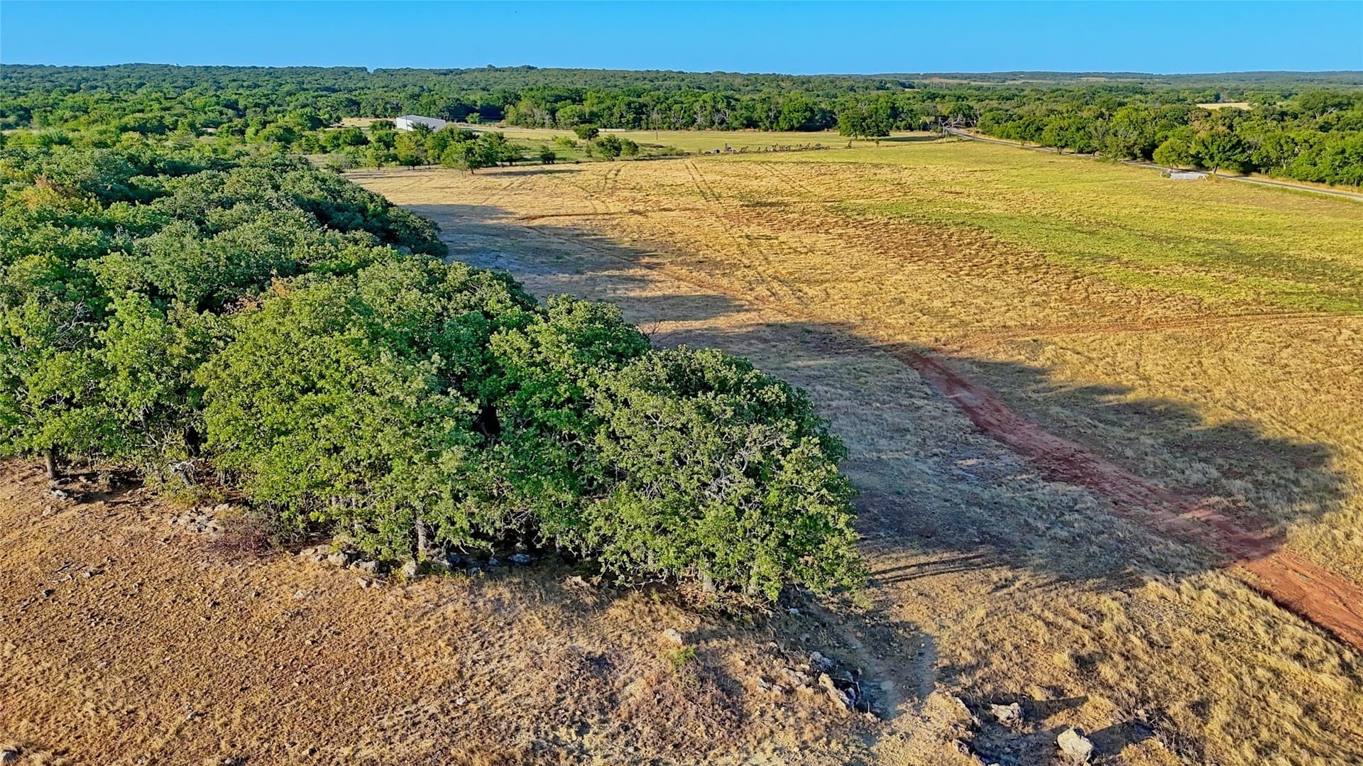 68.18 acres in Montague County - photo 25