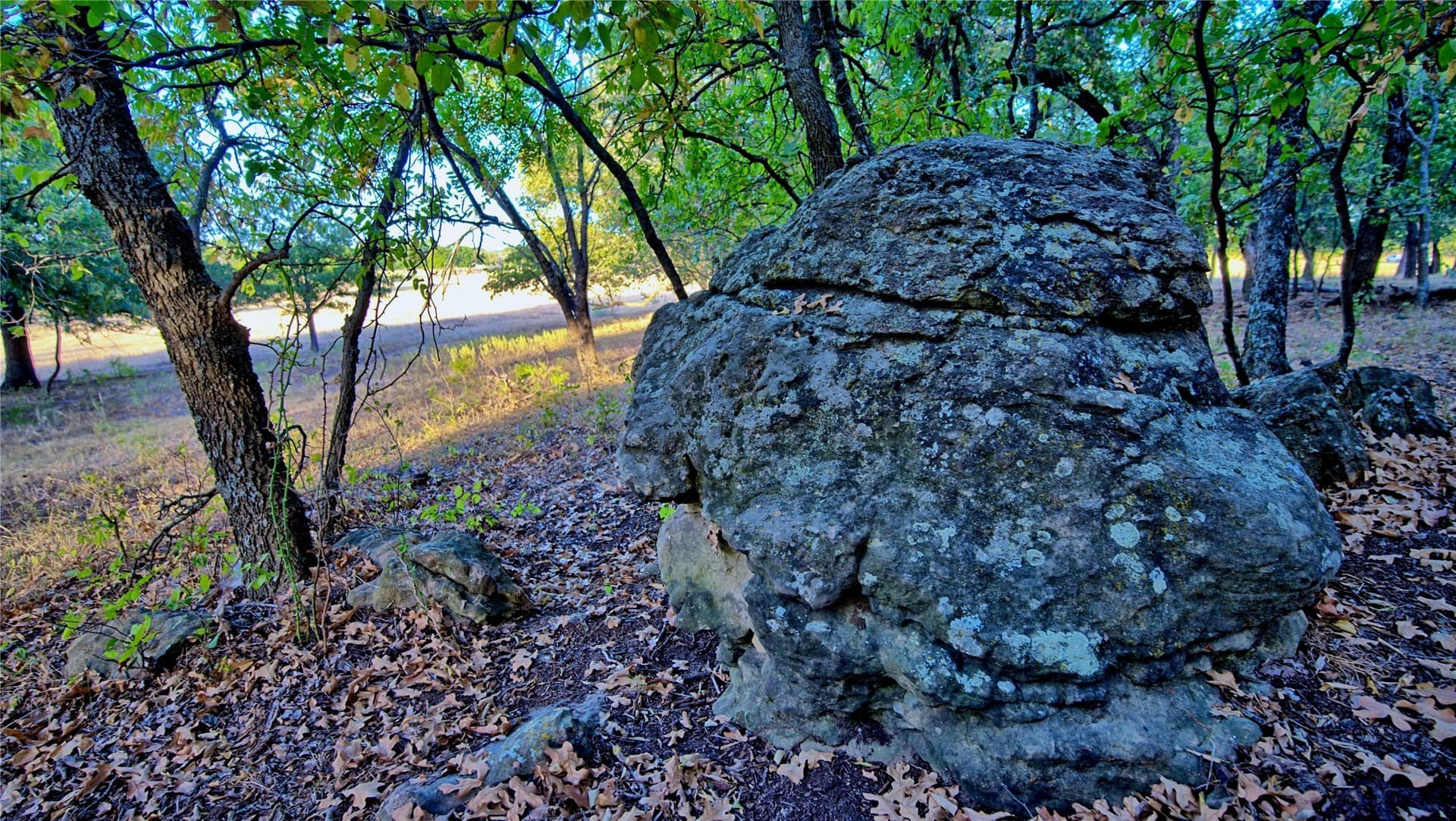 68.18 acres in Montague County - photo 24