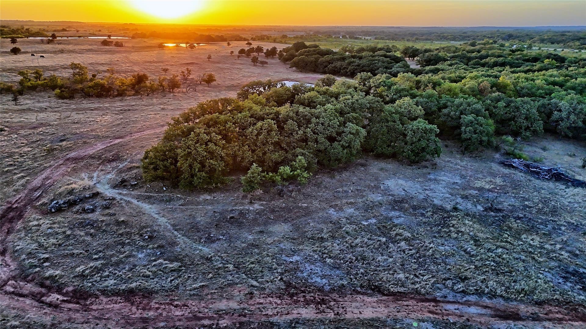 68.18 acres in Montague County - photo 20