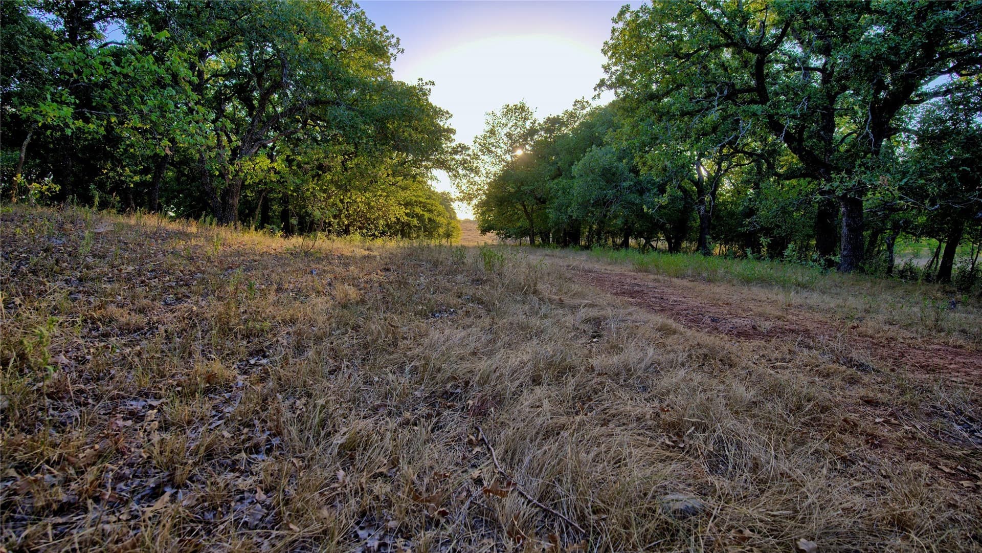68.18 acres in Montague County - photo 28