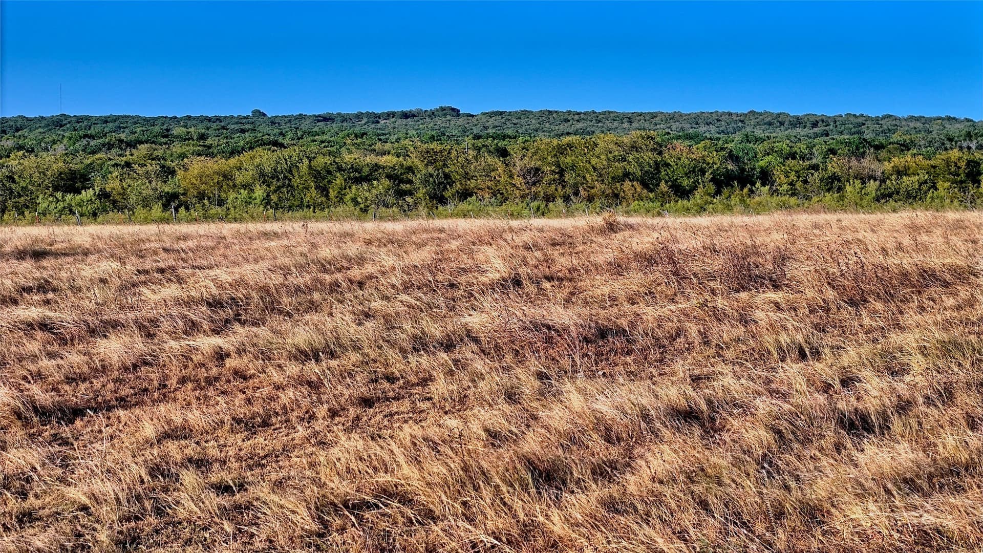68.18 acres in Montague County - photo 22