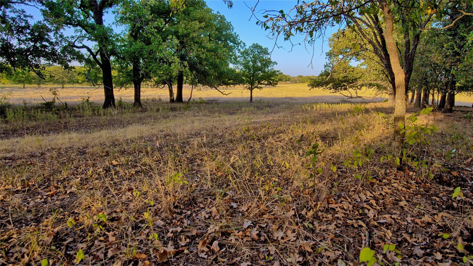 68.18 acres in Montague County - photo 36
