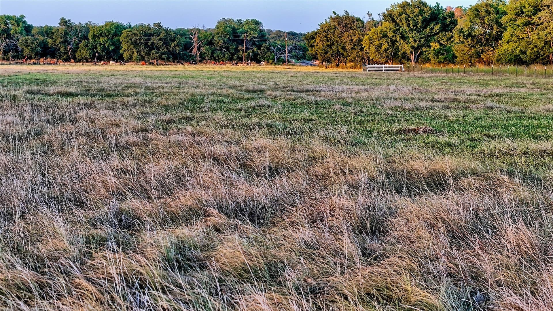 68.18 acres in Montague County - photo 8