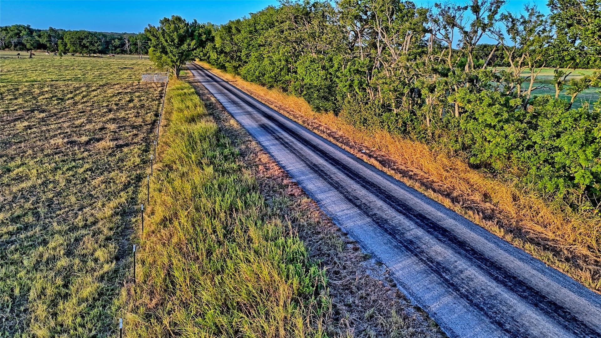 68.18 acres in Montague County - photo 14