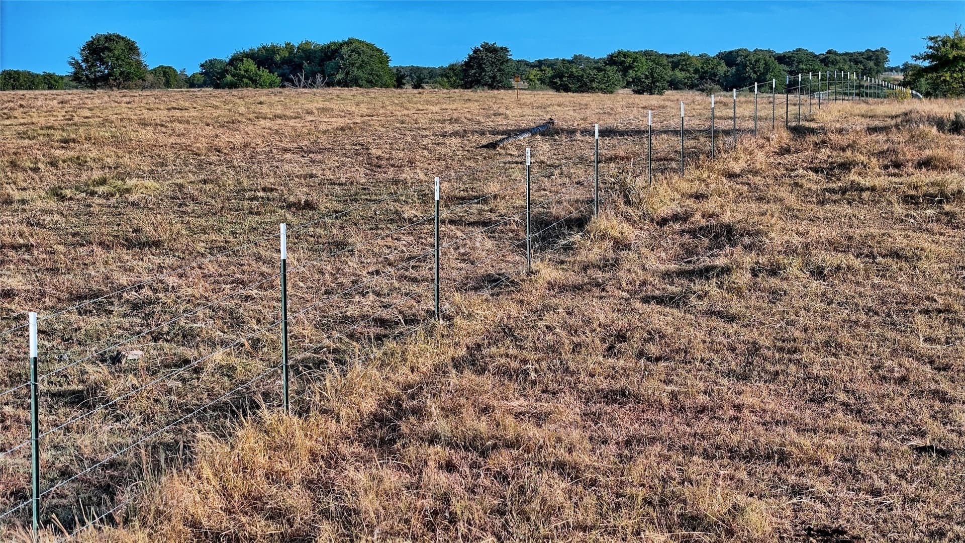 68.18 acres in Montague County - photo 17