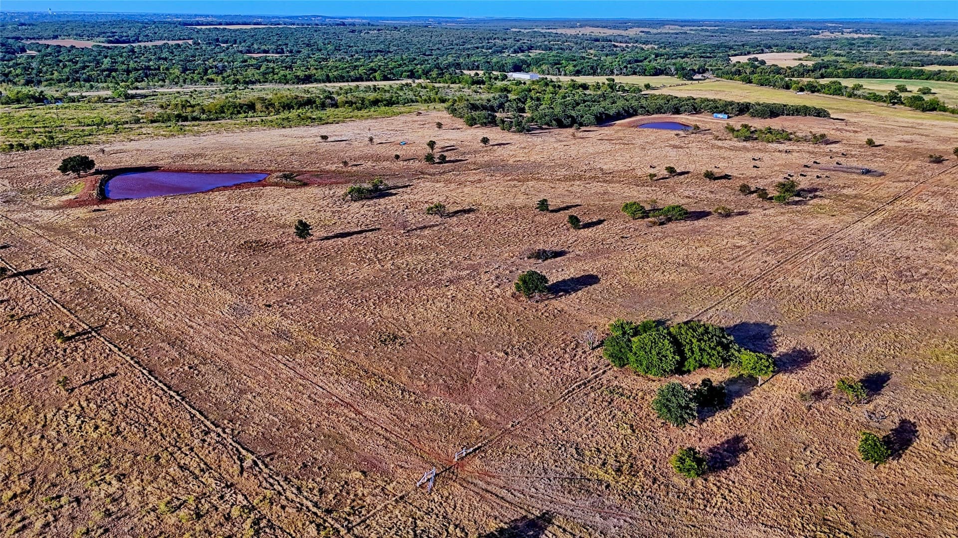 68.18 acres in Montague County - photo 11
