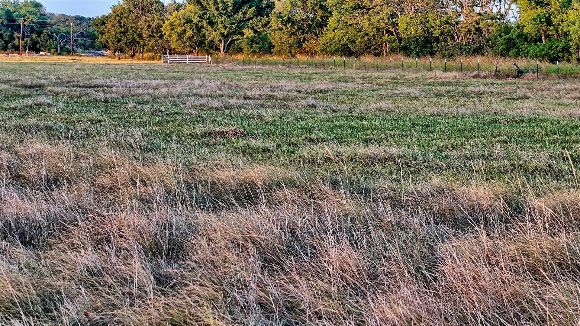 68.18 acres in Montague County - photo 35