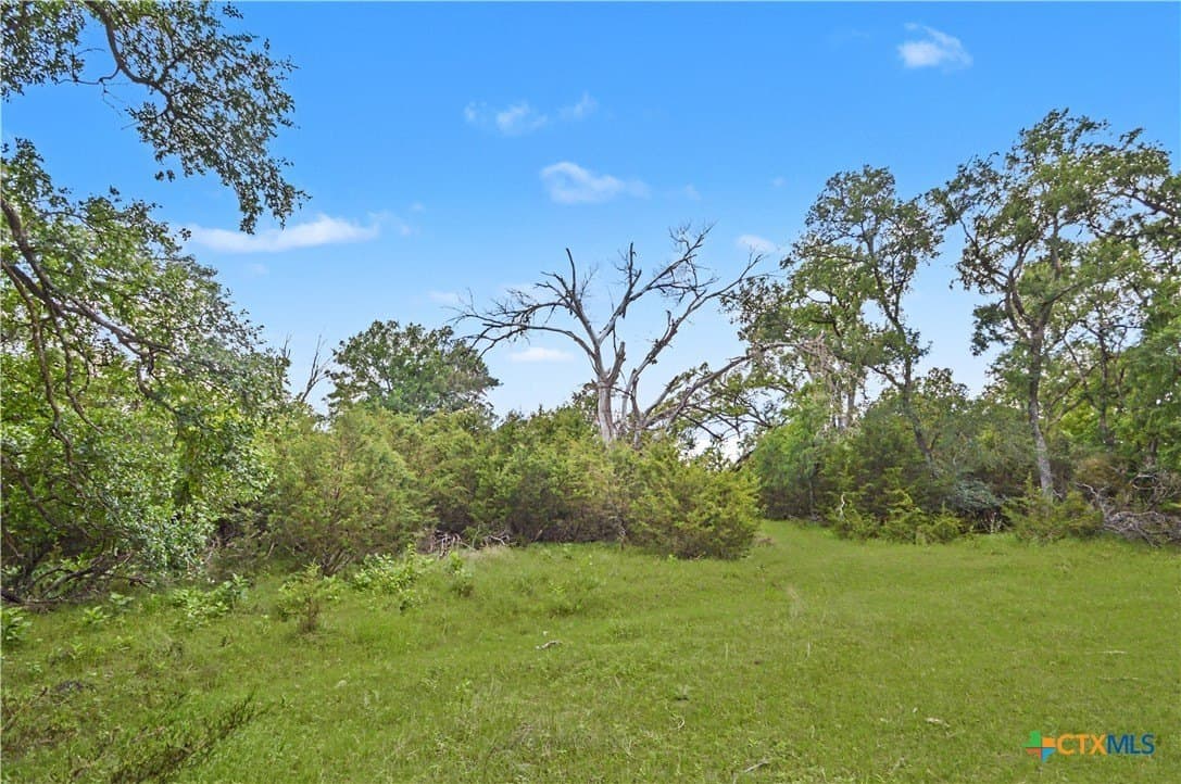 253 acres in Mills County - photo 24