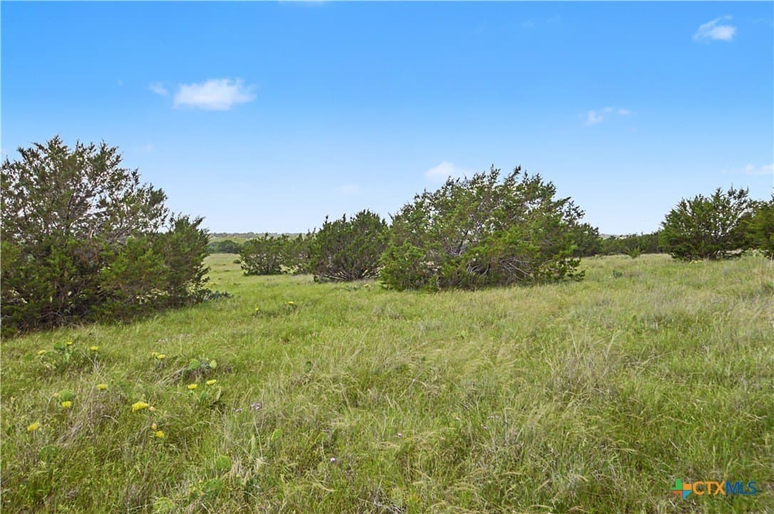 253 acres in Mills County - photo 14
