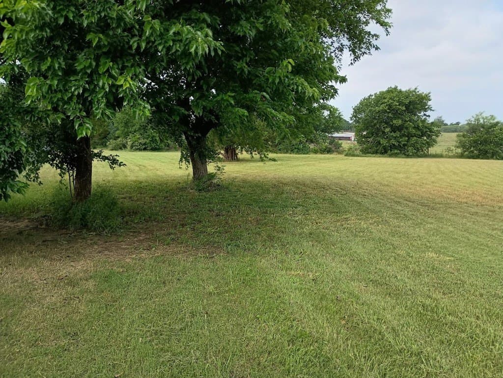 1.3 acres in Cooke County - photo 10