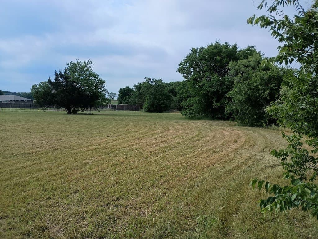 1.3 acres in Cooke County gallery image 2