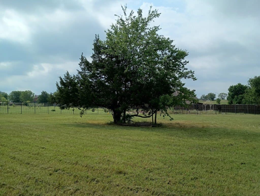 1.3 acres in Cooke County featured view