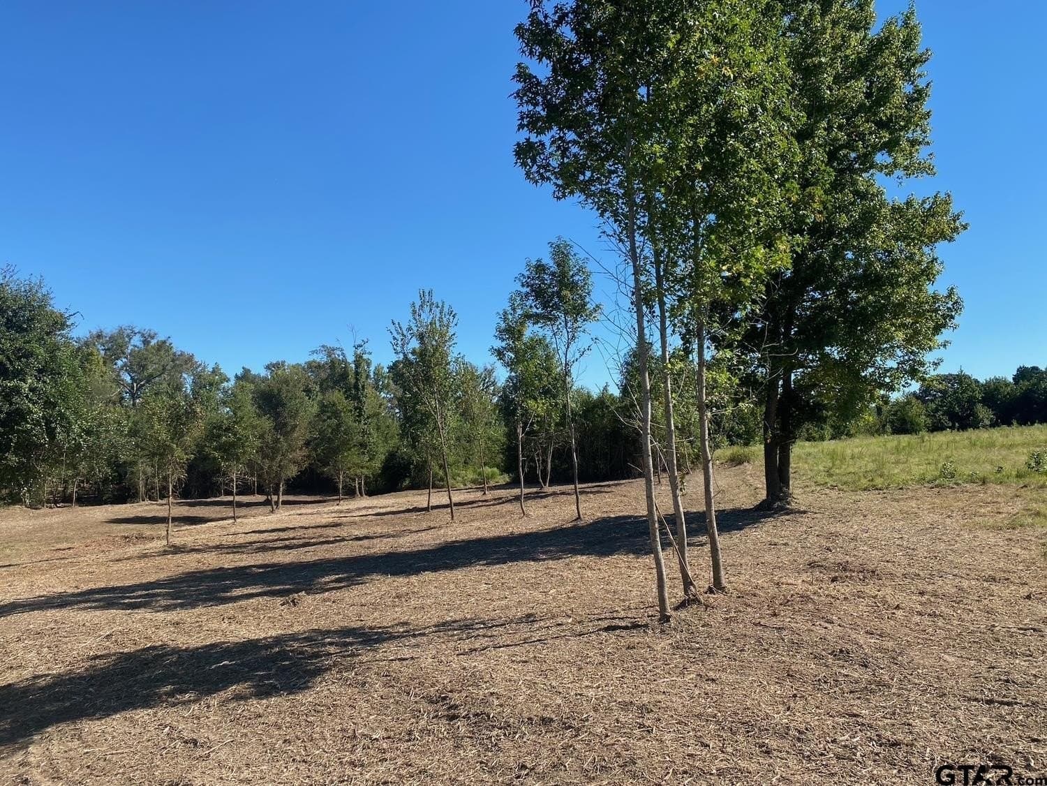 10 acres in Van Zandt County - photo 18