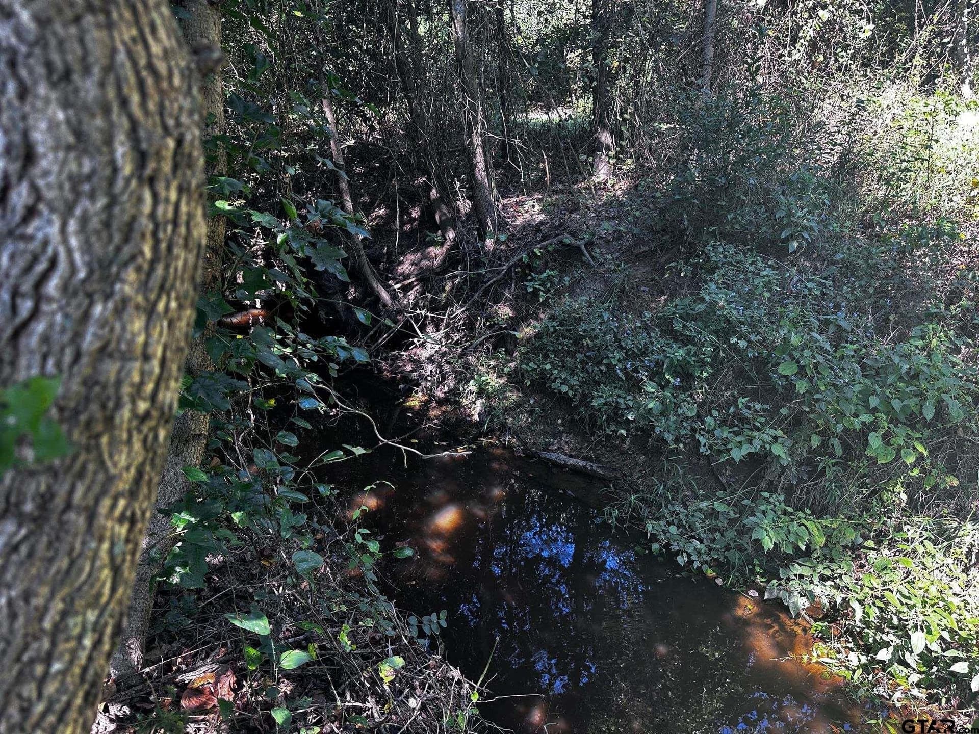 10 acres in Van Zandt County - photo 16
