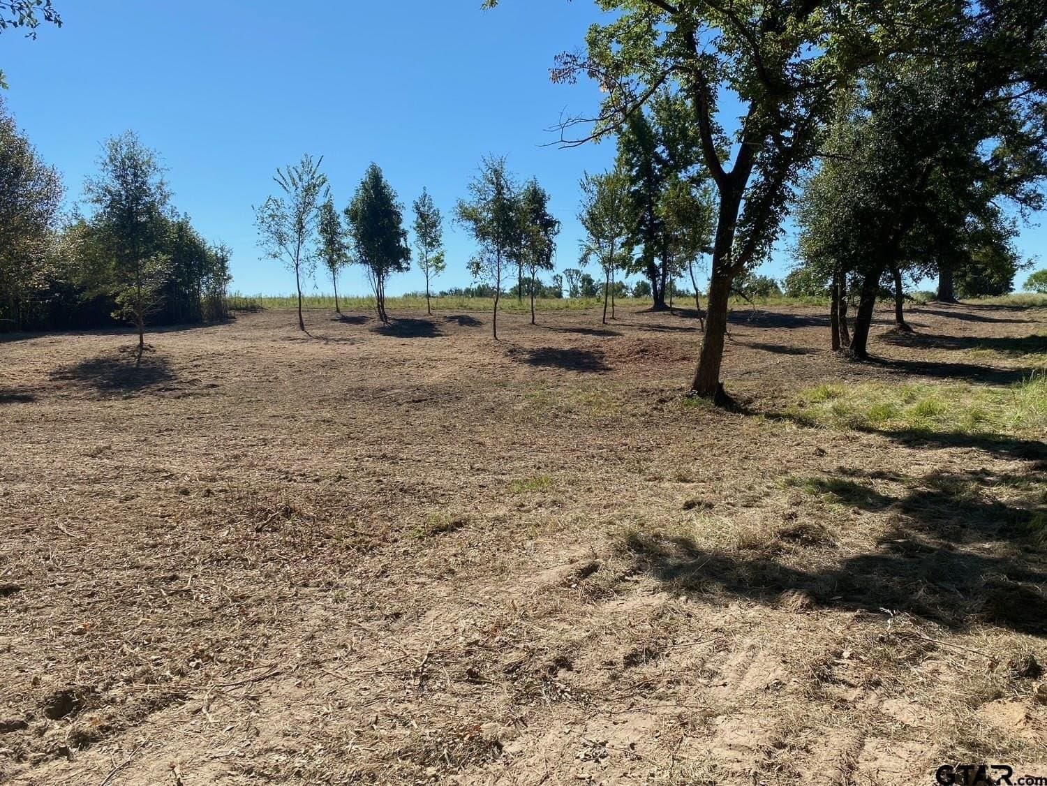 10 acres in Van Zandt County - photo 19