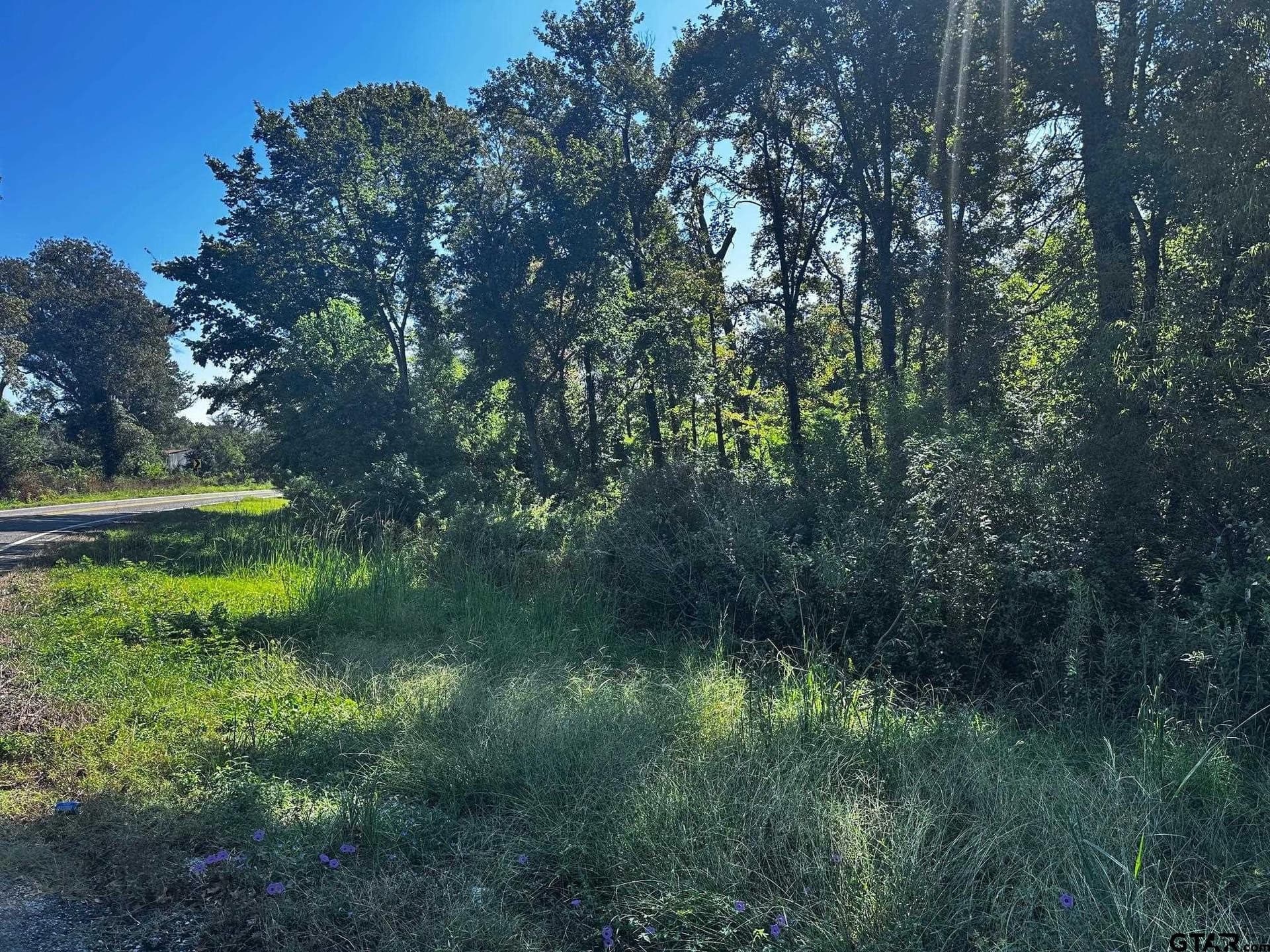 10 acres in Van Zandt County - photo 12