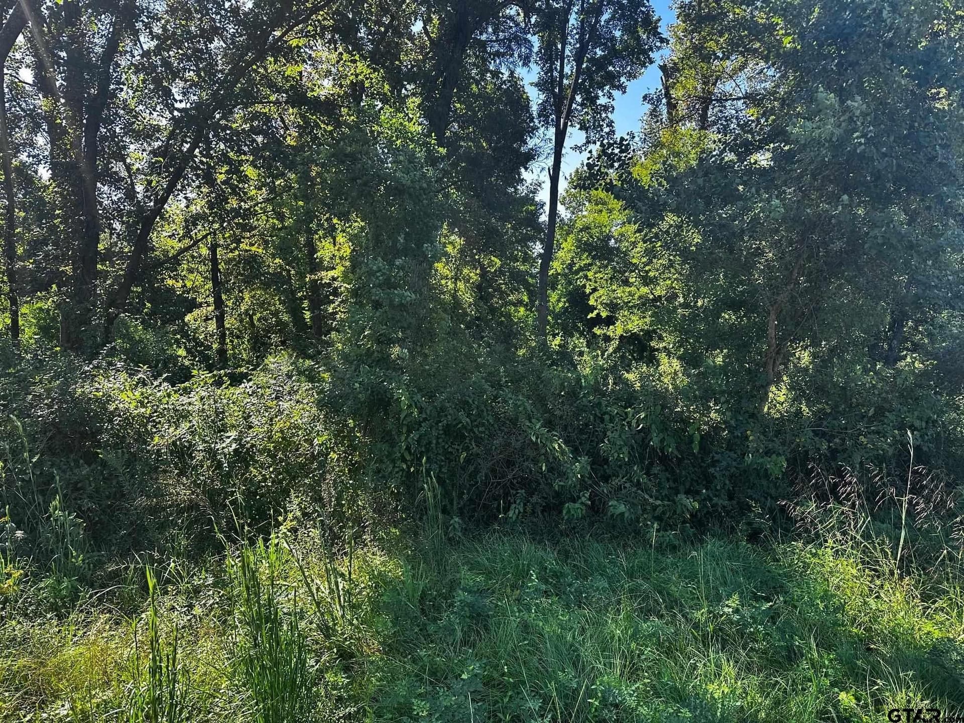 10 acres in Van Zandt County - photo 11
