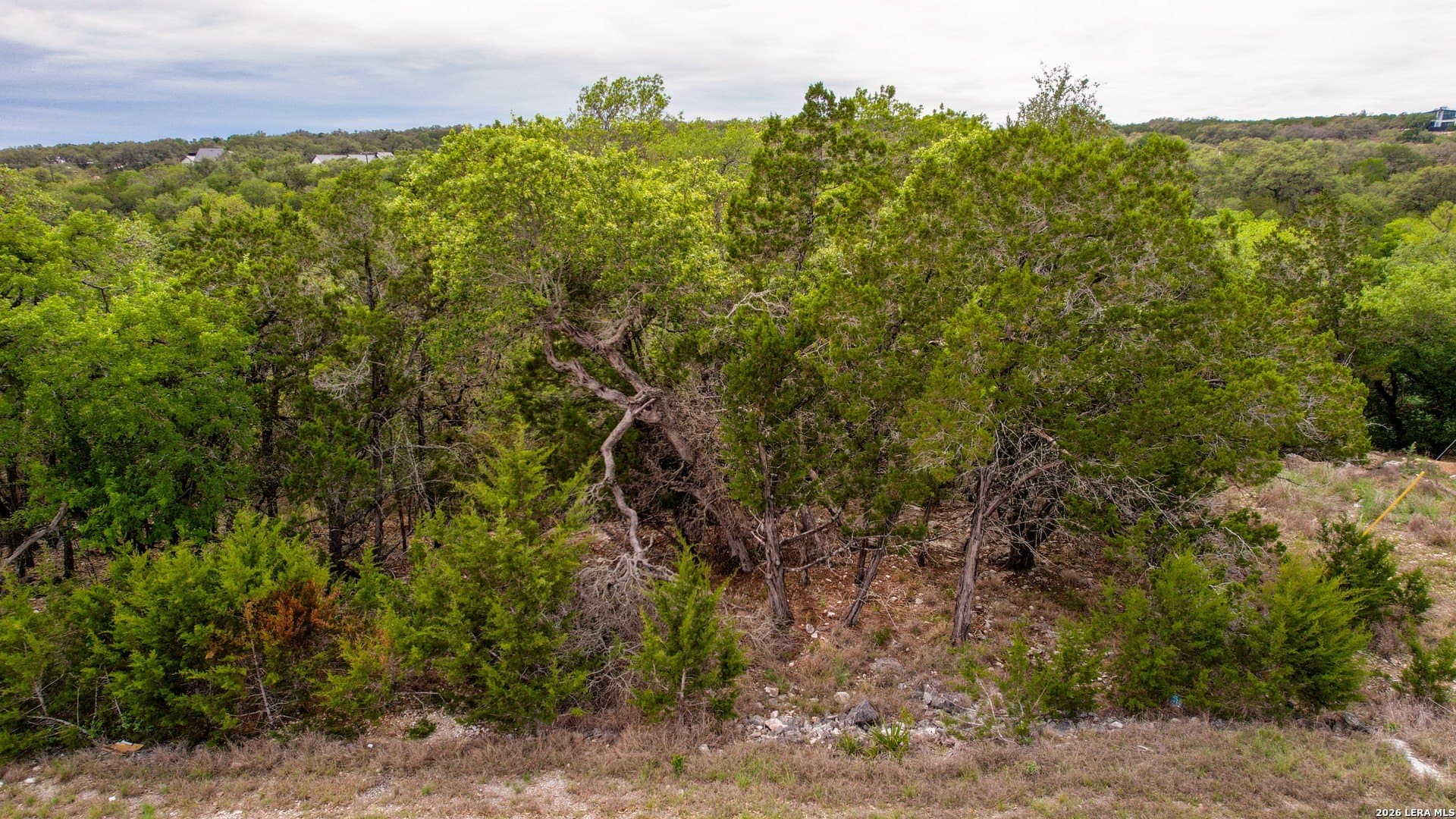 0.21 acres in Comal County - photo 7
