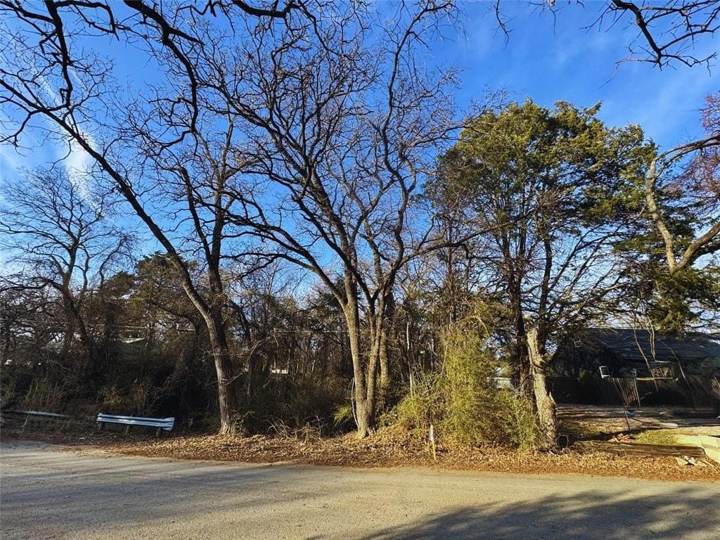 0.46 acres in Dallas County gallery image 2