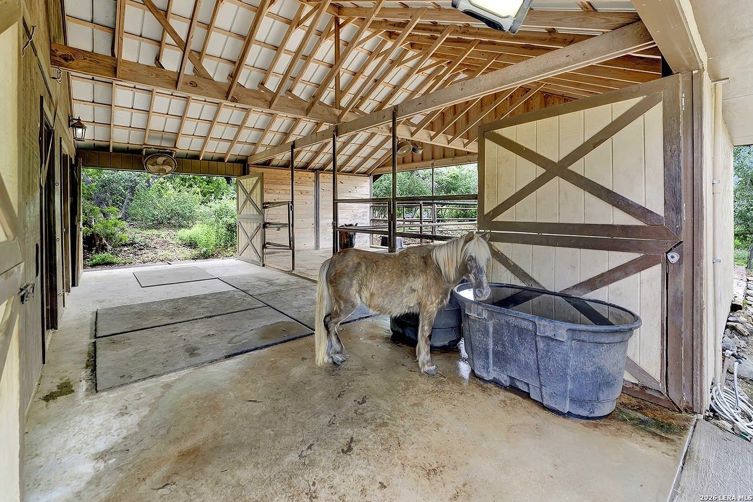 5 acres in Comal County gallery image 3