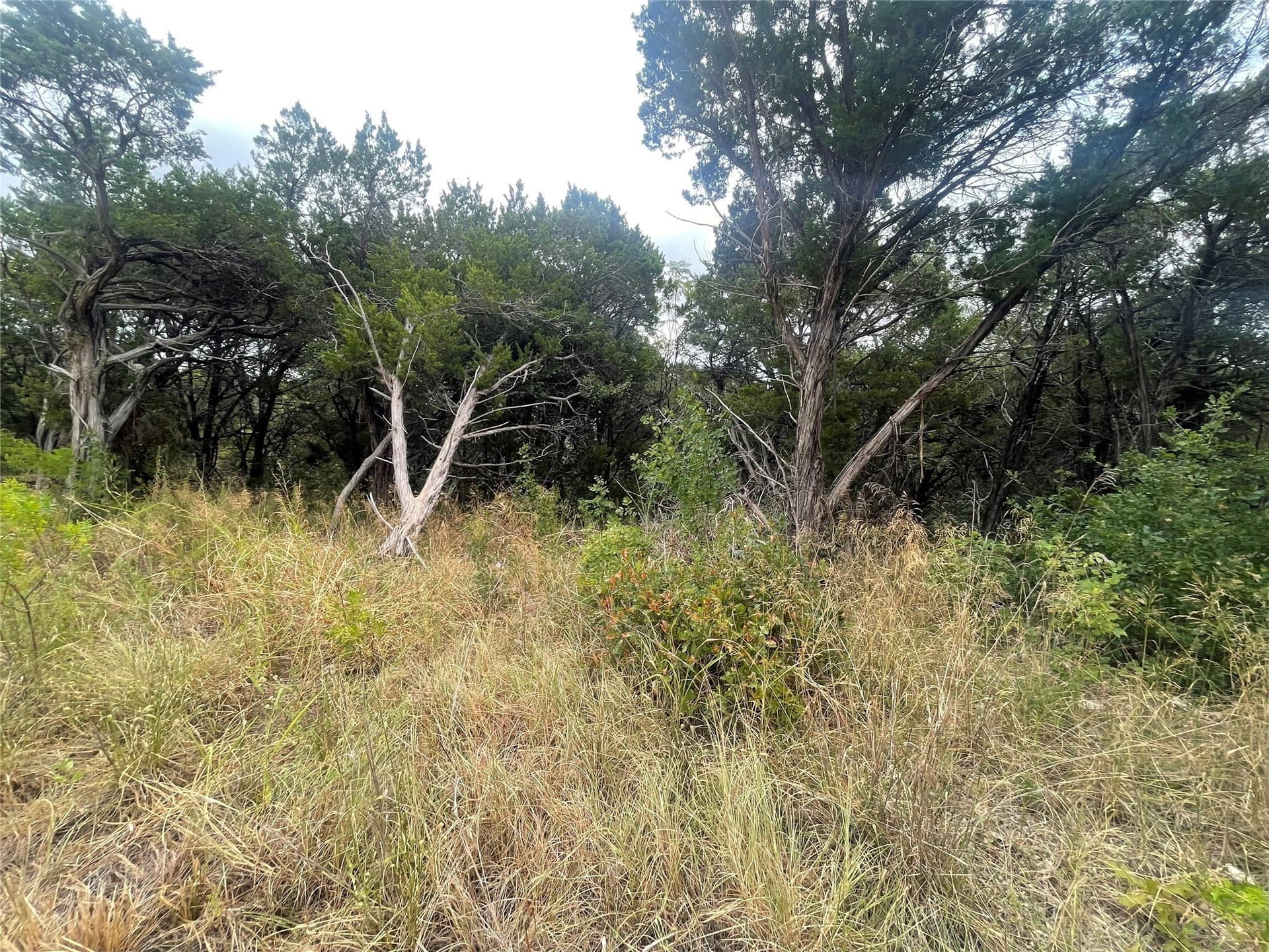 0.21 acres in Johnson County - photo 4