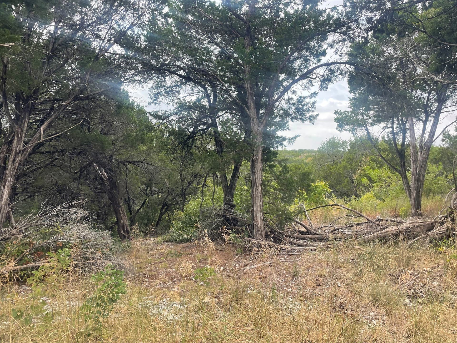 0.21 acres in Johnson County - photo 5