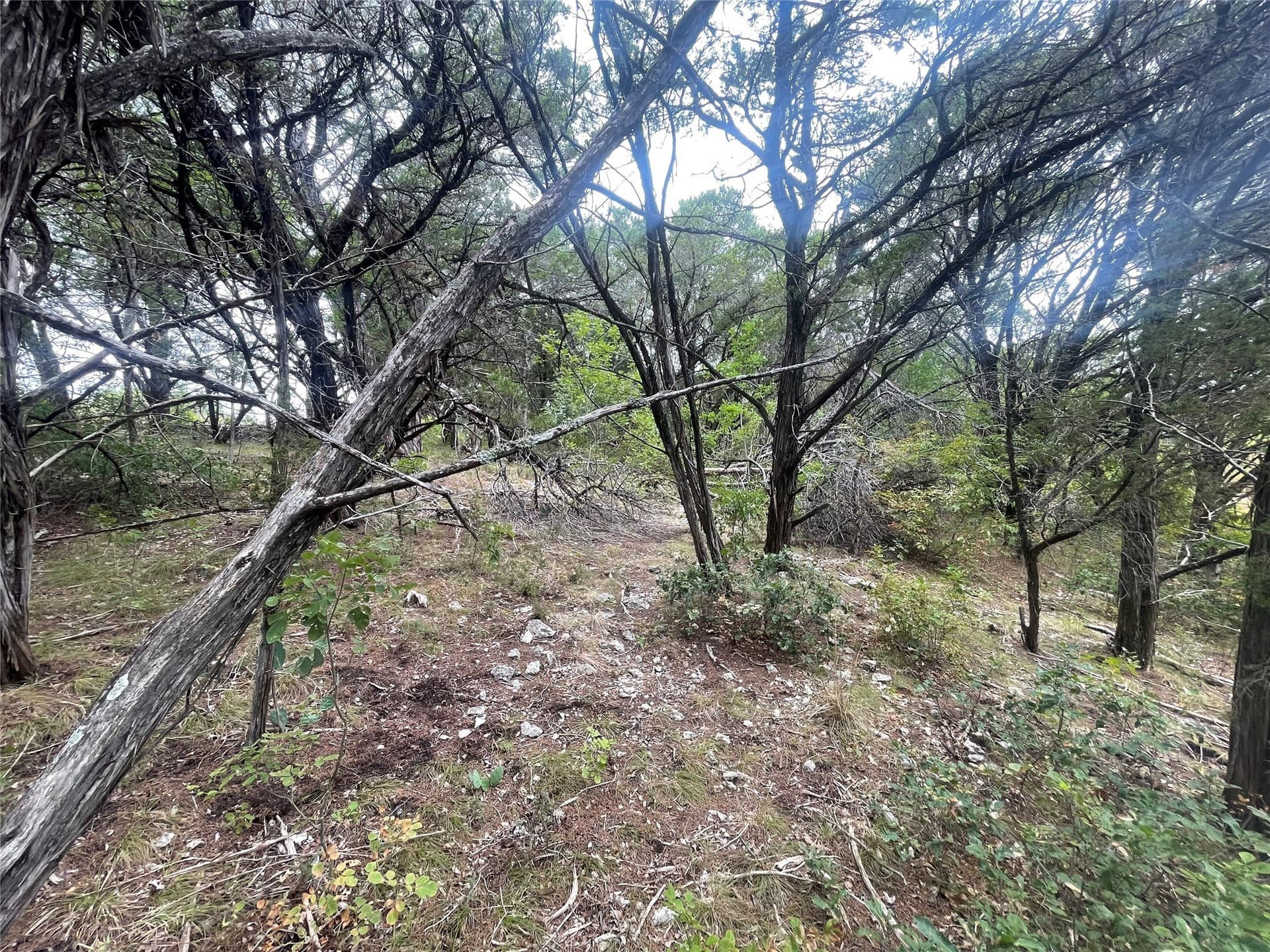 0.21 acres in Johnson County - photo 7
