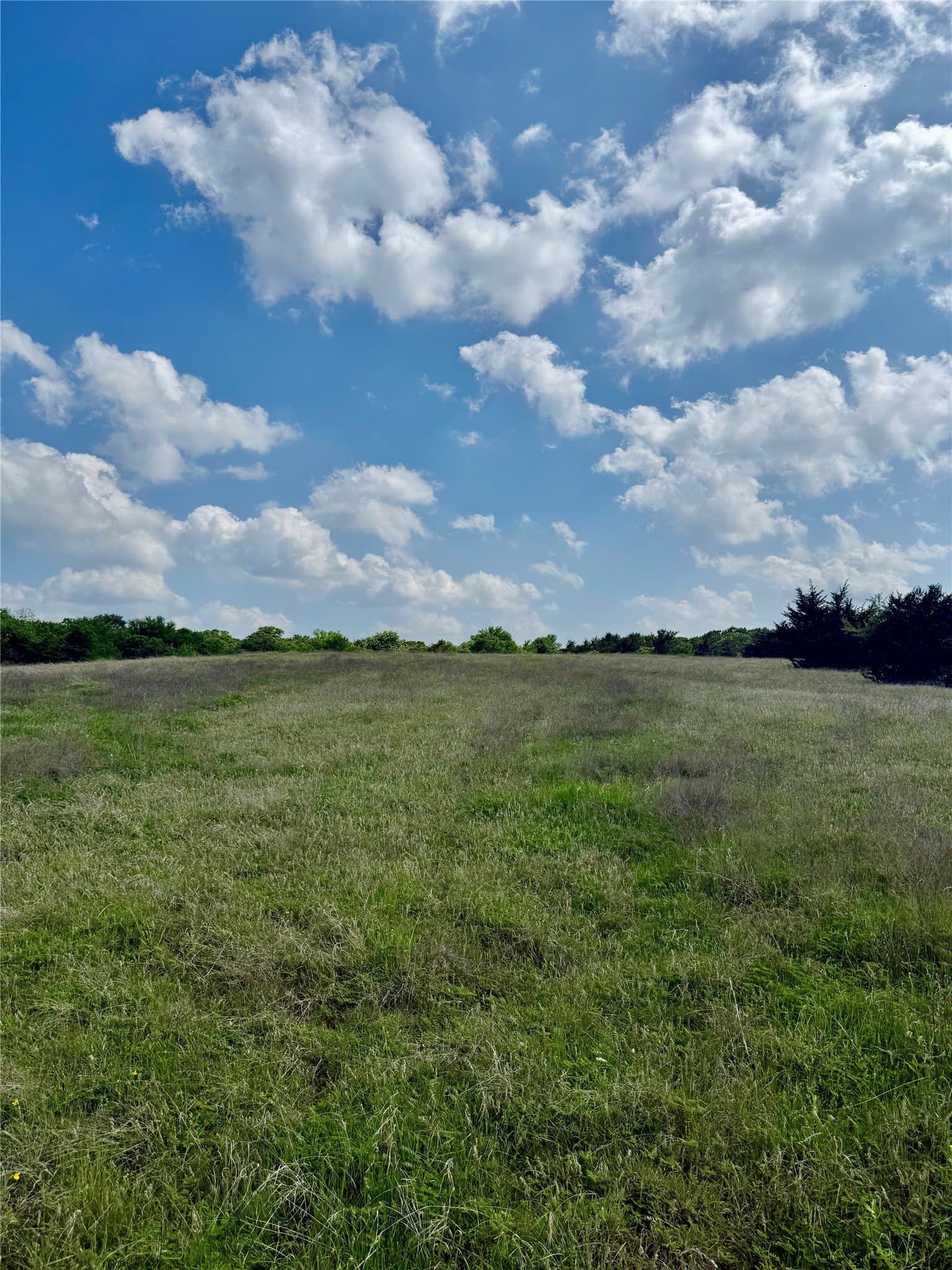 225.77 acres in Fannin County gallery image 3