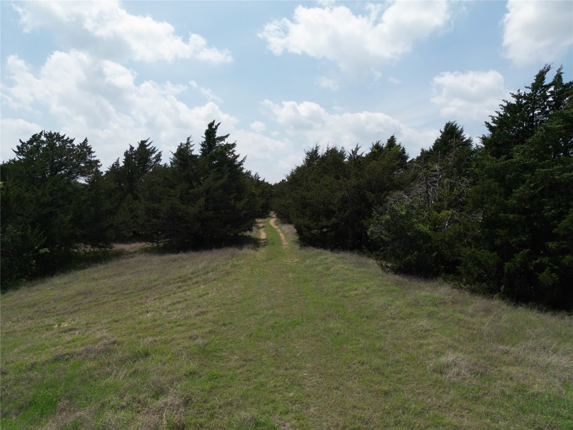 225.77 acres in Fannin County - photo 7