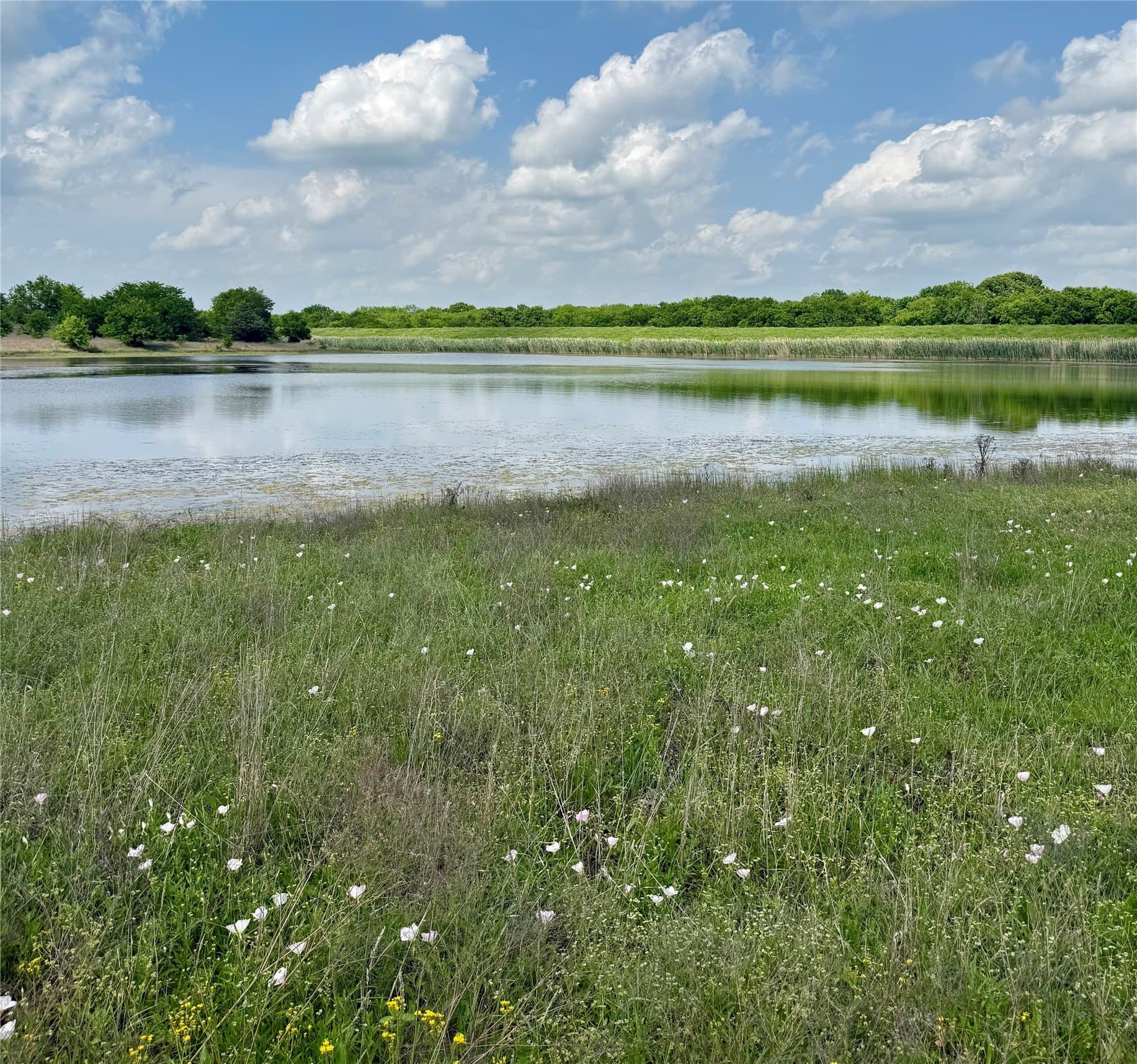 225.77 acres in Fannin County - photo 8