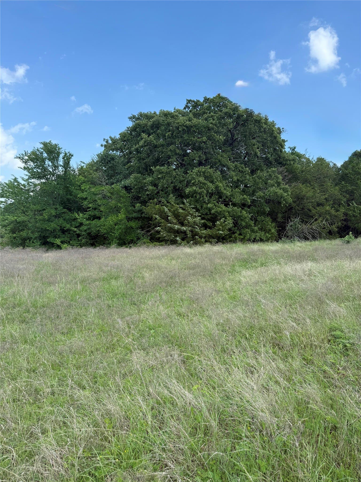 225.77 acres in Fannin County - photo 6