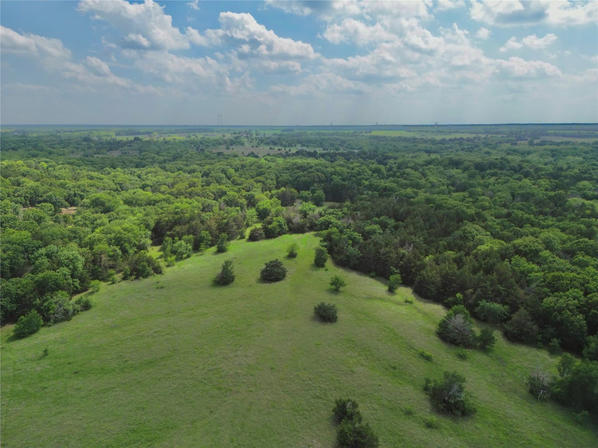 225.77 acres in Fannin County gallery image 2