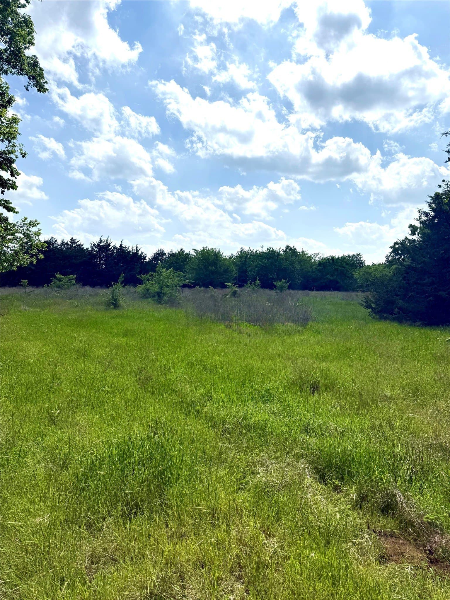 225.77 acres in Fannin County - photo 9