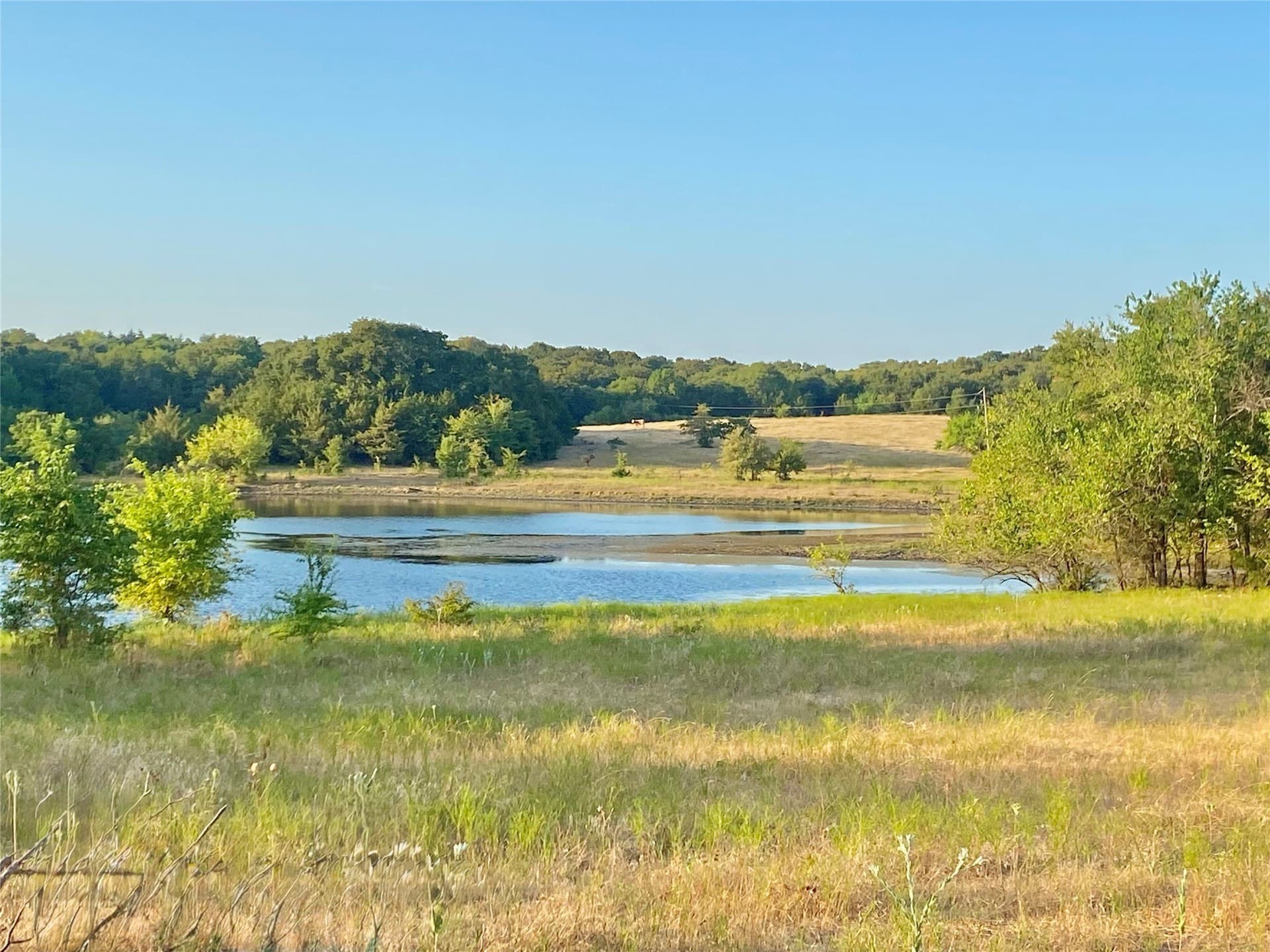 225.77 acres in Fannin County featured view