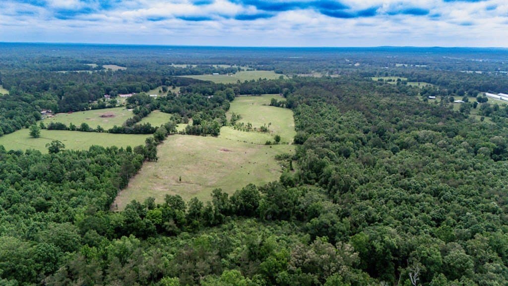 25.5 acres in Texas County - photo 19