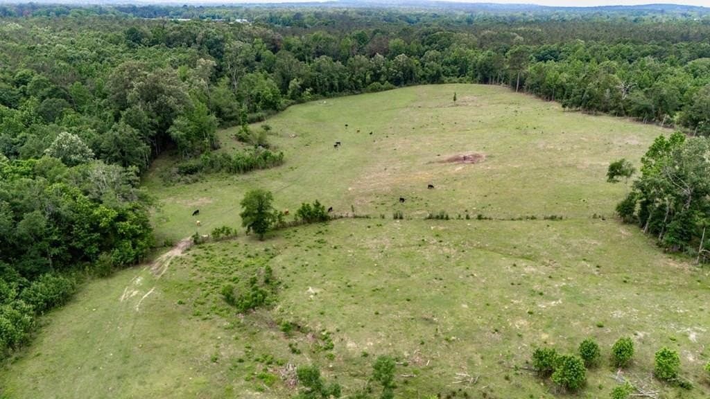 25.5 acres in Texas County - photo 2