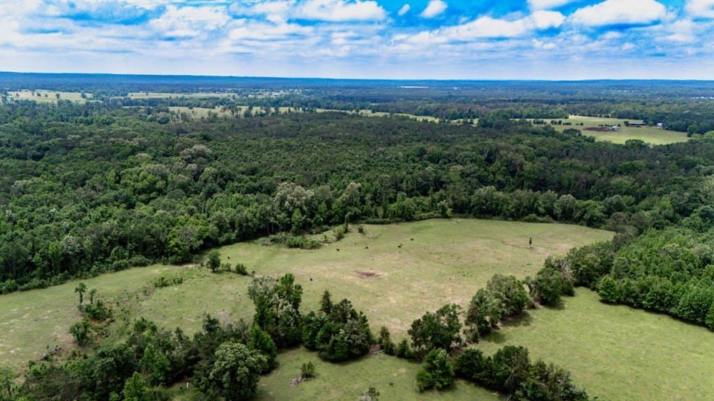25.5 acres in Texas County - photo 15
