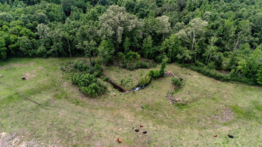 25.5 acres in Texas County - photo 18