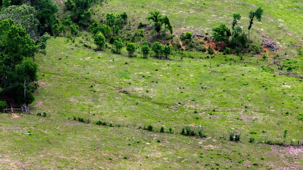 25.5 acres in Texas County - photo 3