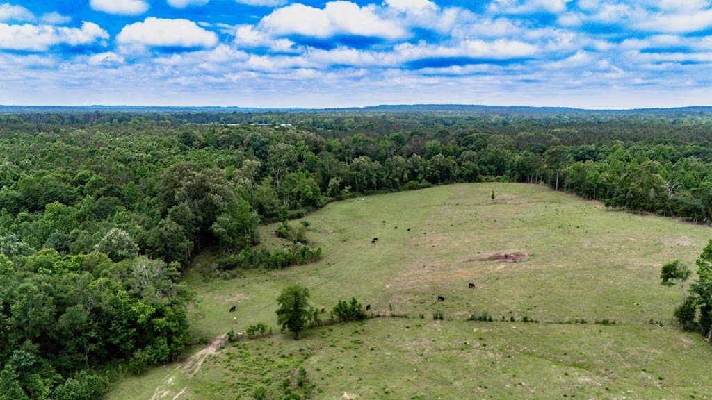25.5 acres in Texas County - photo 16